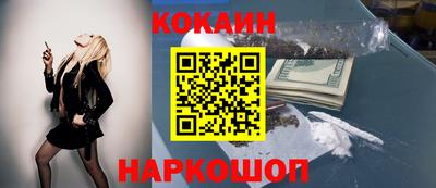 кокс Гатчина