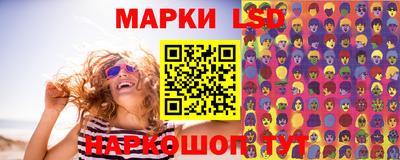 кокс Гатчина