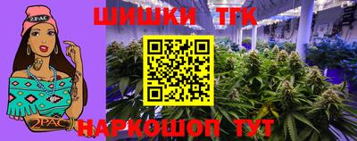 стафф Гай