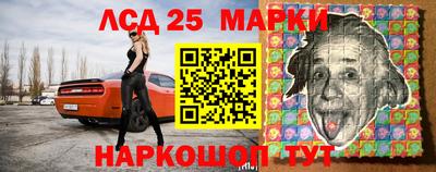 кокс Гатчина