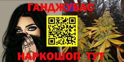 кокс Гатчина