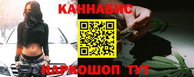 стафф Гай