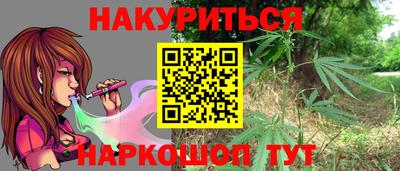 кокс Гатчина