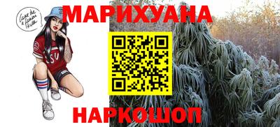 стафф Гай