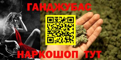 кокс Гатчина