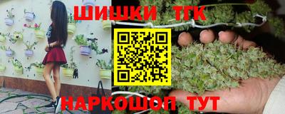 стафф Гай