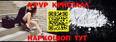 стафф Гай