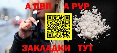 стафф Гай