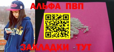 кокс Гатчина