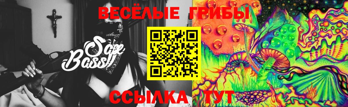 Людиново  Галлюциногенные грибы прущие грибы  Вход с VPN  Псилоцибиновые грибы Cubensis 